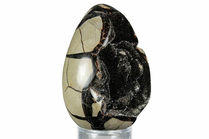 Septarian Dragon Egg Geode - Sparkly Black Crystals #336444